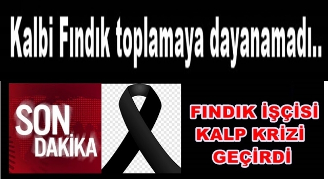 AKP’li Başkanın Fındık işçisi kalp krizinden öldü..