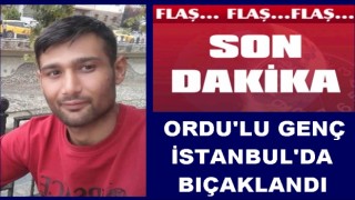 Perşembe’li genç İstanbul’da bıçaklanarak öldürüldü..